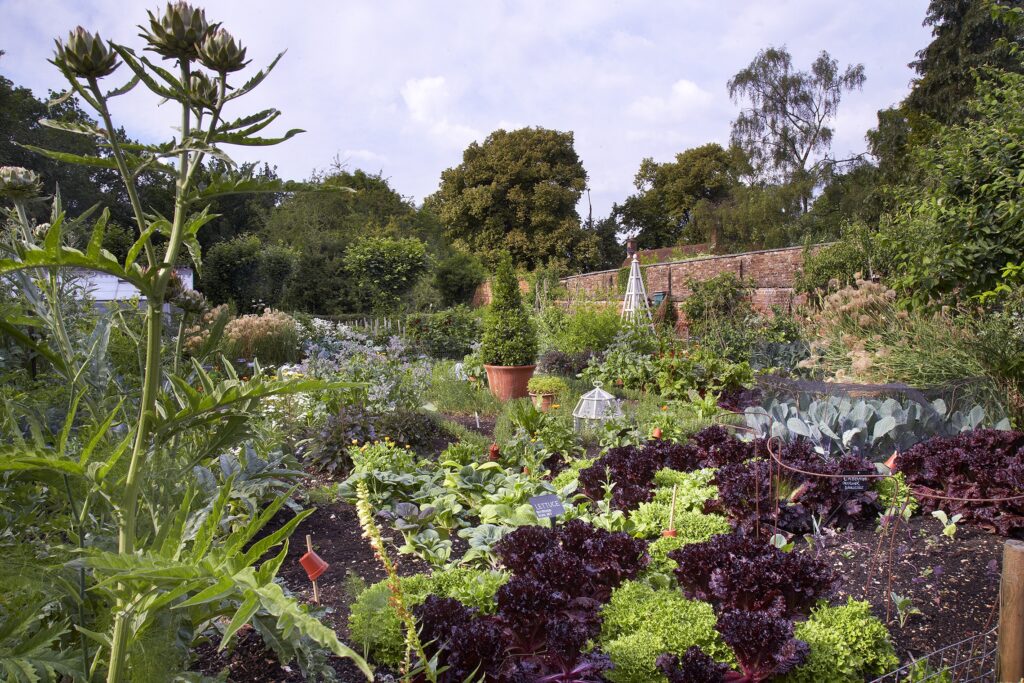 Chenies Manor House kitchen garden
