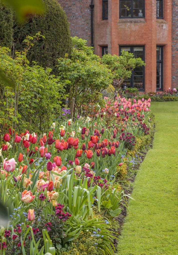 Chenies Manor tulip border